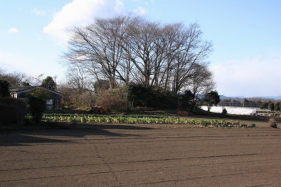 山王塚古墳遠景