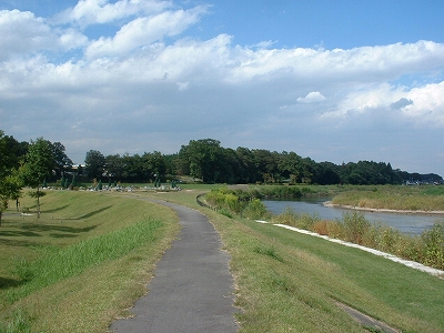 箕輪城跡遠景