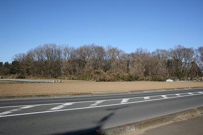 薬師寺城跡遠景