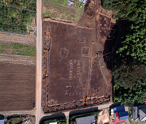 下野薬師寺跡南西部の発掘調査（写真上が北）